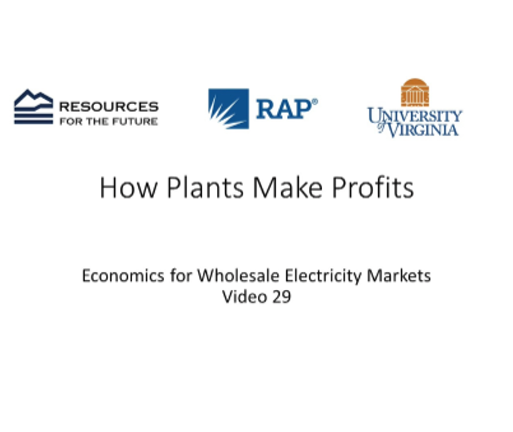 Economics #29: How Plants Make Profits