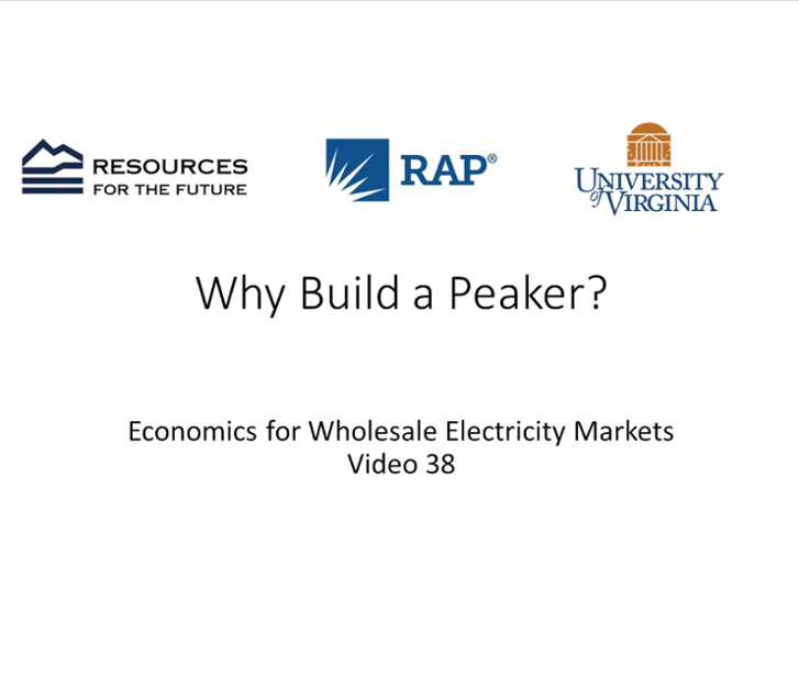 Economics #38: Why Build a Peaker?