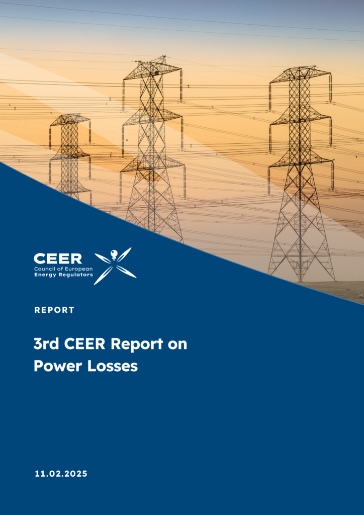CEER-Report-Cover-1-724x1024 (1)