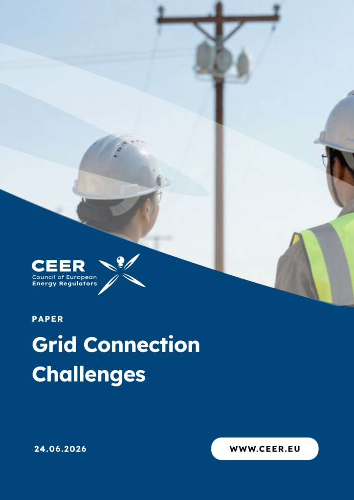 CEER-Report-Cover-1-724x1024