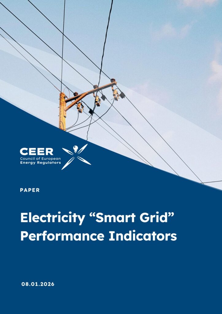 CEER-Report-Cover-3-724x1024