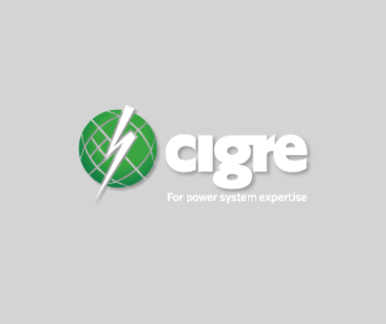 Ước tính tính linh hoạt của DER cấp trung thế/hạ thế nhằm tăng cường điều phối TSO–DSO: Những góc nhìn từ nghiên cứu thực tế tại Ý