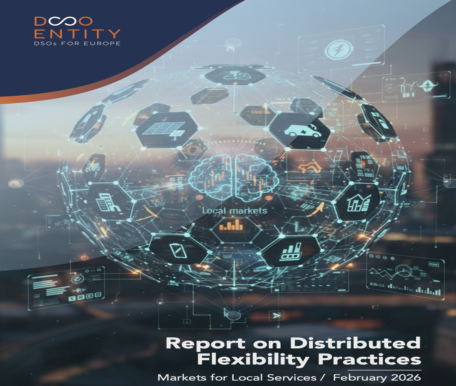 DSO Entity launches its report on Markets for Local Flexibility Services