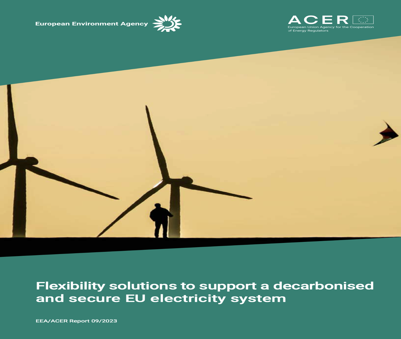 Các giải pháp hỗ trợ linh hoạt cho một hệ thống điện EU phi phát thải và an ninh