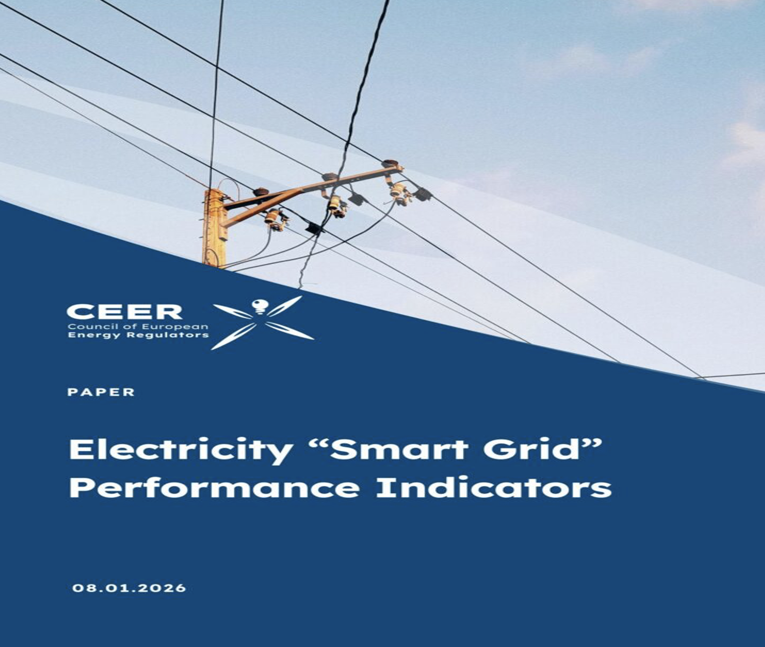 Electricity “Smart Grid” Performance Indicators